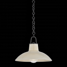 Hudson Valley Orange 1914-DB/CIC - Pottersville Pendant