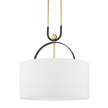 Hudson Valley Orange 2036-AGB/BBR - Campbell Hall Pendant