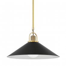 Hudson Valley Orange 2620-AGB/BK - 1 LIGHT LARGE PENDANT