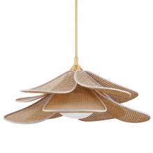 Hudson Valley Orange 3144-AGB - 1 LIGHT PENDANT
