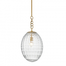 Hudson Valley Orange 4912-AGB - 1 LIGHT LARGE PENDANT
