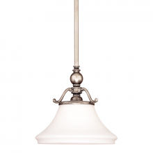 Hudson Valley Orange 7821-HN - 1 LIGHT PENDANT