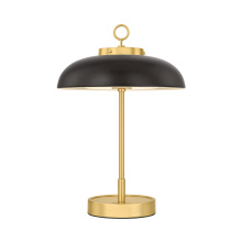 Hudson Valley Orange L3131-AGB/DB - HECTOR Rechargeable Table Lamp