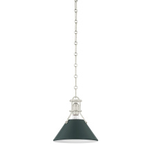 Hudson Valley Orange MDS351-PN/SSG - Painted No.2 Pendant