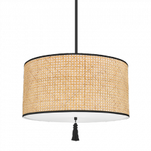 Mitzi Orange H520703-SBK - Dolores Pendant