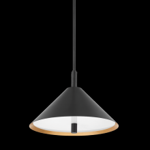 Mitzi Orange H629702-GL/SBK - BRIANNA Pendant