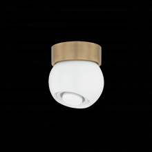 Troy Orange C1406-PBR/SWH - Odin Flush Mount