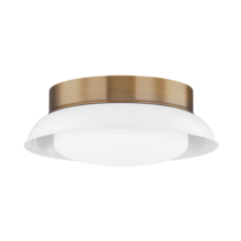 Troy Orange C2014-PBR/GWH - ARNIE Flush Mount