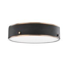 Troy Orange C8316-PBR/SFB - Eli Flush Mount