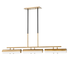 Troy Orange F3248-PBR/SBK - TITUS Linear Chandelier