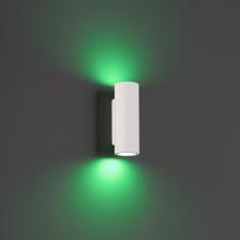 WAC 3911-CSWT - Smart Color Changing LED Landscape Wall Mount Cylinder
