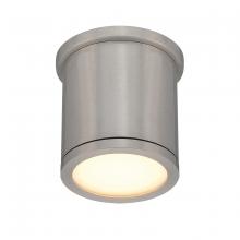 WAC FM-W2605-AL - TUBE Outdoor Flush Mount Light