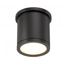 WAC FM-W2605-BK - TUBE Outdoor Flush Mount Light