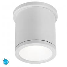 WAC FM-W2605-WT - TUBE Outdoor Flush Mount Light
