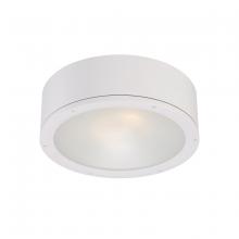 WAC FM-W2612-WT - TUBE Outdoor Flush Mount Light