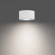 WAC FM-W45205-40-WT - Peek Outdoor Flush Mount Light