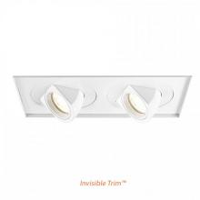 WAC MT-5LD225TL-S40-WT - Tesla LED Multiple Two Light Invisible Trim with Light Engine