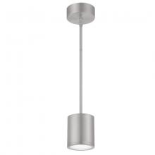 WAC PD-W2605-AL - TUBE Outdoor Pendant Light