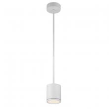 WAC PD-W2605-WT - TUBE Outdoor Pendant Light