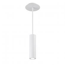 WAC PD-W36610-WT - CALIBER Outdoor Pendant Light