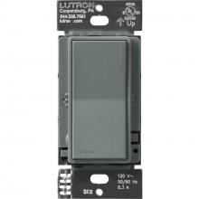 Lutron ST-RS-SL - SUNNATA COM SW SL