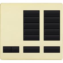 Lutron LFK-T10RL-BB - LARGE 10 BUTTON FACEPLATE KIT BB