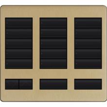 Lutron LFK-T15RL-BRA - LARGE 15 BUTTON FACEPLATE KIT BRA