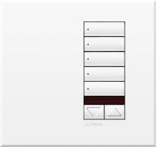 Lutron QSWE-5BRLIRN-SC - QSWE-WALLSTN 5BRLIR N/INS