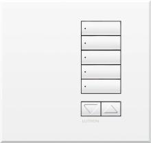 Lutron QSWE-5BRLI-SN - QSWE-WALLSTN 5BRL INS SN