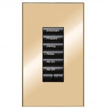 Lutron QSWS2-GEN-M1 - seeTouch QS wallstation