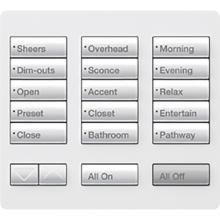Lutron RR-T15RL-SW - RADIORA2 LG 15 BUTTON TT R/L KEYPAD SW