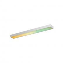 SMART LINEAR